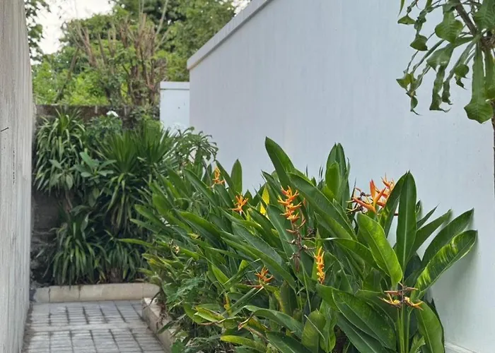 Suli Toyaning, Ungasan * Uluwatu